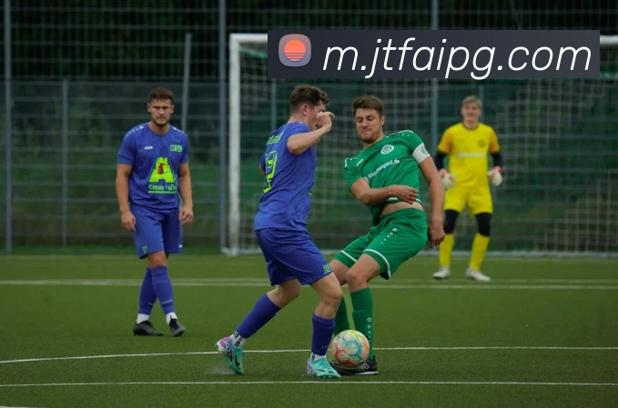 多媒体互动体验